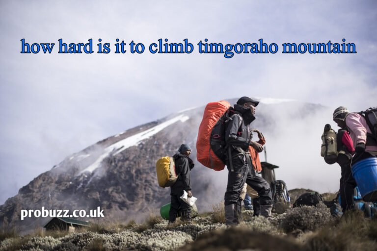 How Hard Is It to Climb Timgoraho Mountain? A Complete Difficulty Guide for First-Time Trekkers